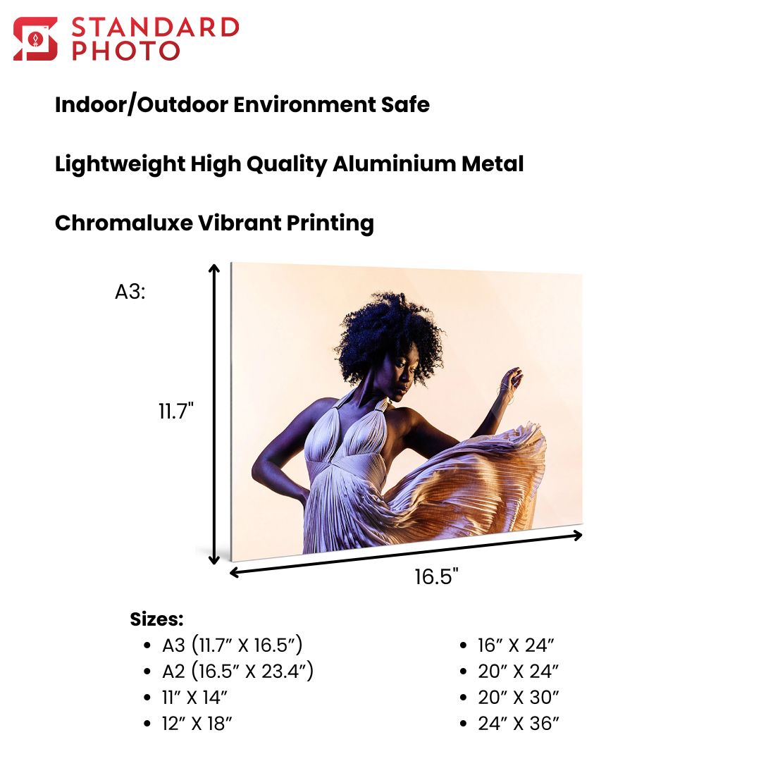 StandardPhoto Metal Panel Dimensions Specifications Wall Display Indoor Outdoor Lightweight Chromaluxe Sizes 