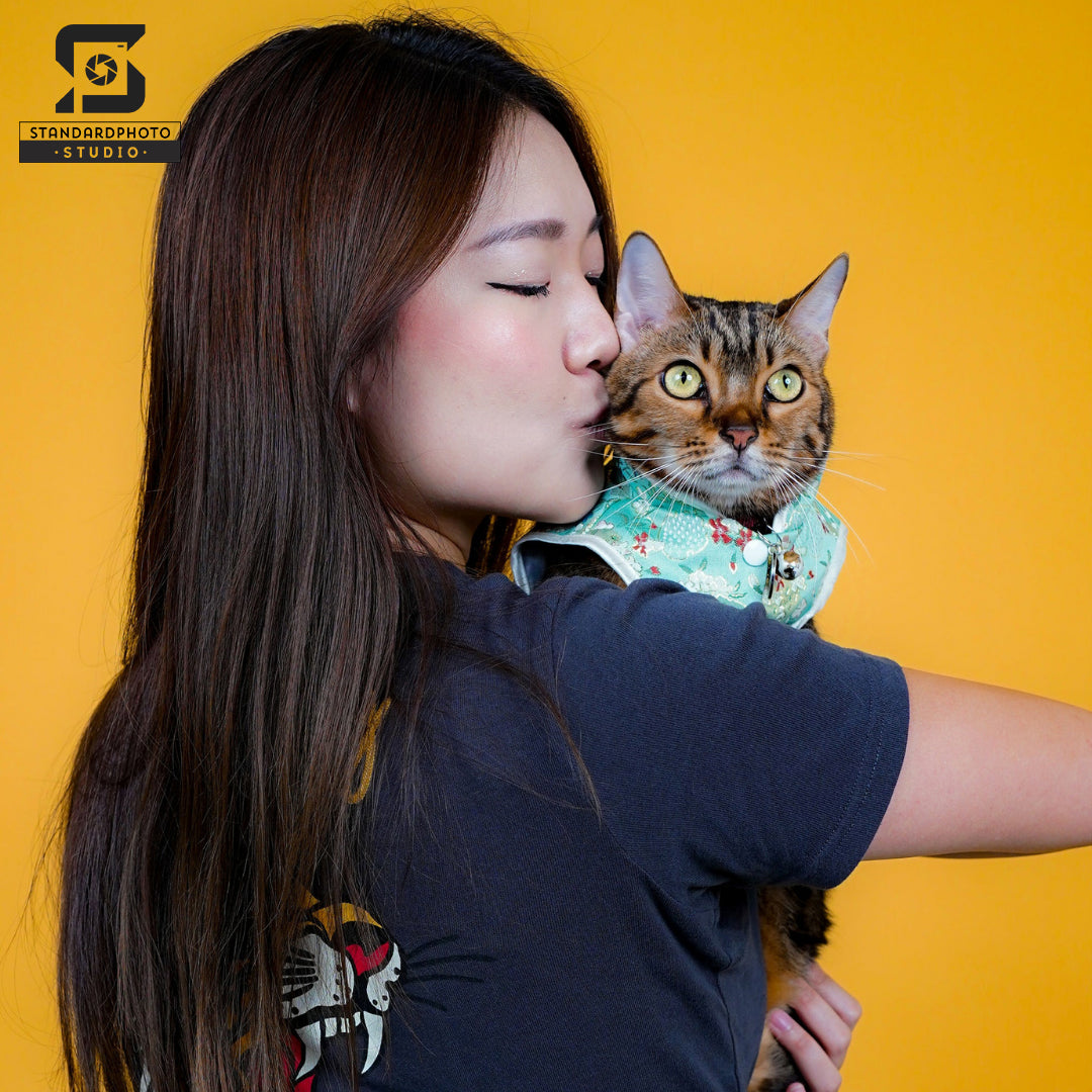 Standard Photo Pet Studio Female with Cat Portrait Yellow Background
